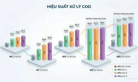 Đánh giá hiệu quả xử lý nitơ và phốt pho trong nước thải chăn nuôi bằng pistia stratiotes