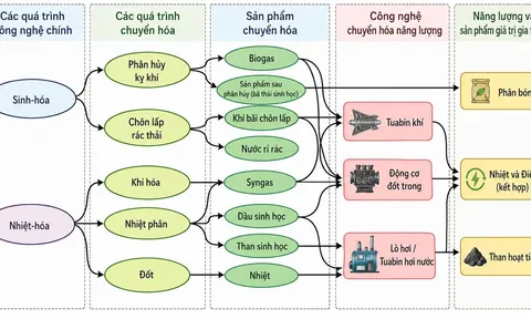 Đánh giá tiềm năng và thách thức của công nghệ đốt rác phát điện tại Việt Nam