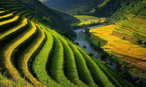 Quản trị tài nguyên đất đai - Từ di sản lịch sử, kinh nghiệm toàn cầu đến tầm nhìn đột phá trong Dự thảoLuật Đất đai 2026
