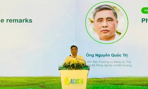 Nâng giá trị rừng keo từ nghiên cứu đến chuỗi sản phẩm