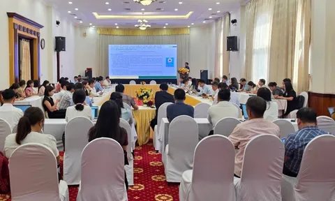 Phát huy vai trò của hợp tác xã nông nghiệp trong chuyển đổi số và phát triển chuỗi giá trị