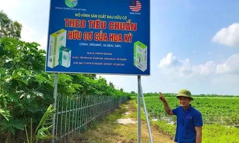 Cải tạo đất bằng than sinh học kết hợp với chế phẩm vi sinh - Giải pháp phát triển bền vững cho các hợp tác xã sản xuất rau an toàn vùng đồng bằng sông Hồng