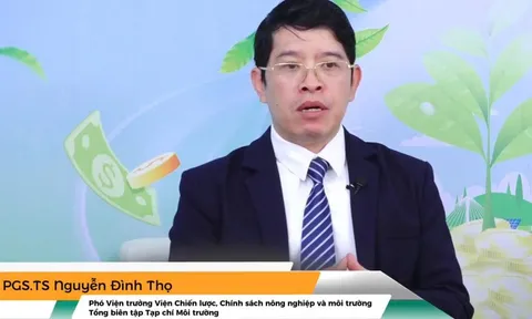 VAI TRÒ CỦA TÀI CHÍNH XANH TRONG VIỆC CẢI THIỆN NĂNG LỰC CẠNH TRANH QUỐC GIA Ở VIỆT NAM