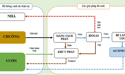 Đánh giá tác động môi trường của mô hình tuần hoàn chất thải cho trồng thanh long kết hợp với chăn nuôi gia súc quy mô nông hộ
