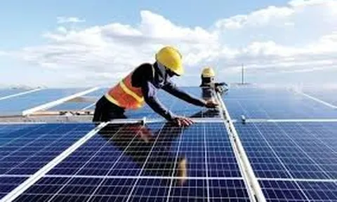 Tổng quan kinh nghiệm quốc tế về phát triển nông nghiệp kết hợp điện mặt trời và bài học cho Việt Nam