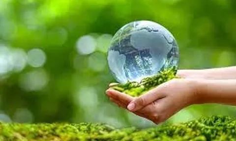 Trách nhiệm hành chính của doanh nghiệp trong việc bảo vệ môi trường - Một số vấn đề lý luận và thực tiễn