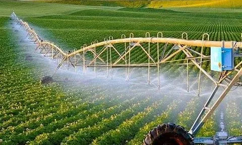 Dự báo công nghệ xanh hướng tới bảo vệ môi trường,  phát triển bền vững: Trường hợp Hà Lan và Đan Mạch