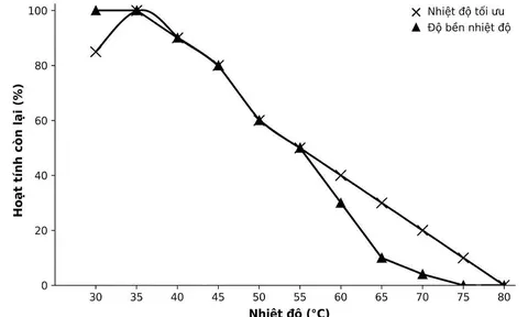 Tách chiết và tinh sạch enzyme glucose oxidase từ chủng vi nấm Aspergillus Niger MN1
