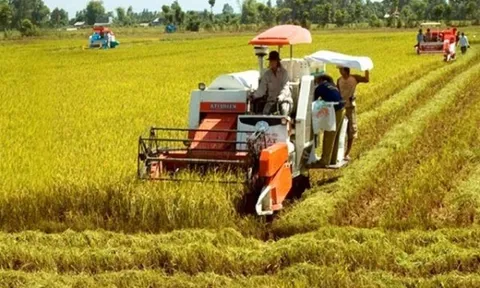 Tiêu chí, trình tự, thủ tục công nhận tiến bộ kỹ thuật về giống, sản phẩm trong nông nghiệp và môi trường