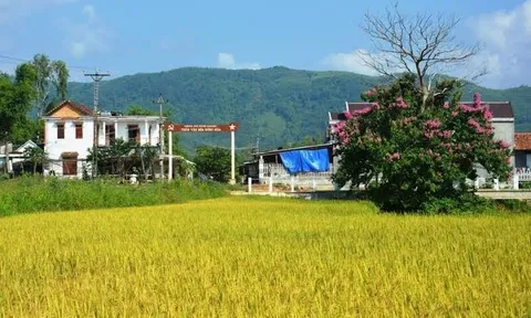 Quảng Ngãi ban hành Bộ tiêu chí thôn nông thôn mới giai đoạn 2026-2030 trên địa bàn tỉnh