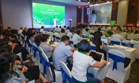 Công nghệ thu giữ, sử dụng và lưu trữ CO₂ (CCUS): Giải pháp thúc đẩy Net Zero tại Việt Nam