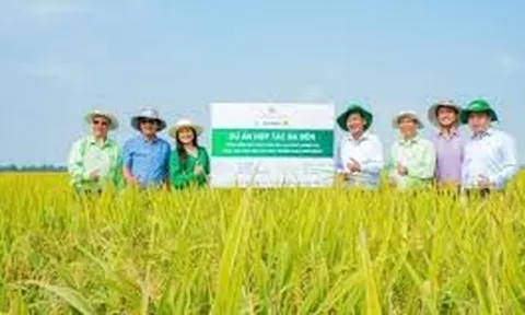 Strengthening policy frameworks for economically viable sustainable agriculture