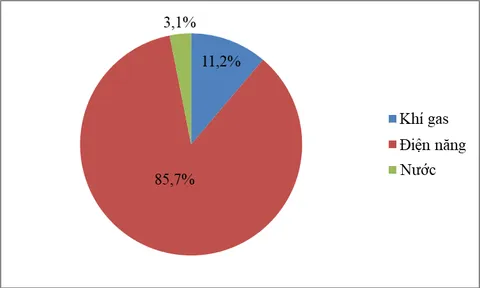 Đánh giá tiêu thụ và thất thoát năng lượng trong sản xuất chất tẩy rửa theo định hướng sản xuất sạch hơn: Nghiên cứu trường hợp tại Việt Nam
