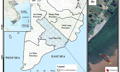 Nghiên cứu thực nghiệm khả năng lắng đọng phù sa ở khu vực rừng ngập mặn ven biển Thành phố Cần Thơ