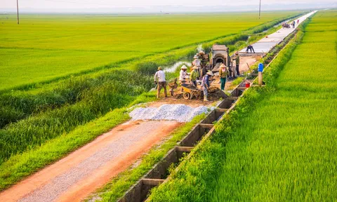 Proposing cultural criteria in the program on building new-style rural area for the 2026-2030 period