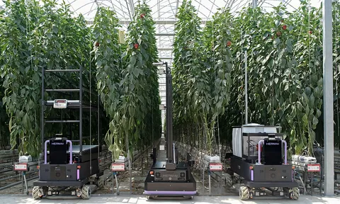 Application of low-emission high technology in crop production: Typical models in some countries in the world and lessons for Vietnam