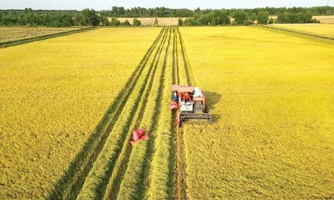 The Project on “Emissions reduction in the crop production sector for the period 2025 - 2035, vision to 2050": The foundation for Vietnam to move towards green and sustainable agriculture