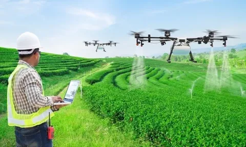 Pathways for Green Transformation in agriculture in Vietnam