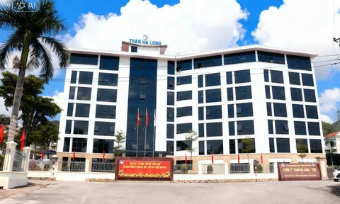 Công ty Than Hạ Long – TKV thông báo tuyển học sinh học nghề mỏ hầm lò