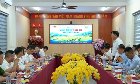 Thanh Yên đẩy nhanh giải phóng mặt bằng, tạo điều kiện thu hút đầu tư