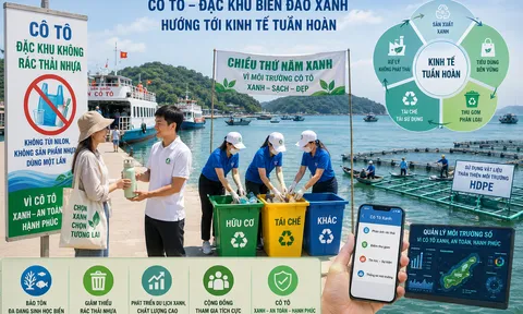 Xây dựng đặc khu không rác thải nhựa ở Cô Tô: Thực tiễn và hàm ý chính sách cho kinh tế tuần hoàn