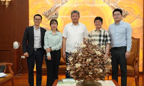 Tạp chí Môi trường triển khai chuyên đề truyền thông “Hưng Yên – Chuyển đổi xanh hướng tới phát triển bền vững”