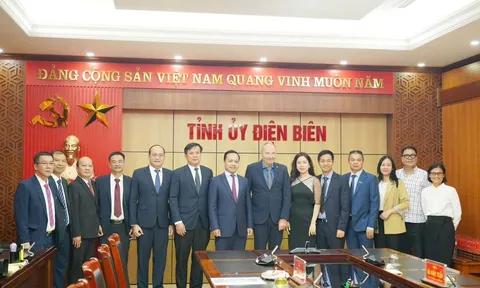 Điện Biên thúc đẩy hợp tác đầu tư phát triển kinh tế xanh từ cây tre