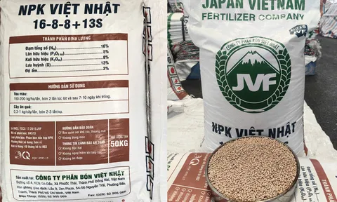 Phân bón Việt Nhật ra mắt dòng NPK 16-8-8+13S: Lời giải cho bài toán dinh dưỡng hợp lý và tối ưu chi phí