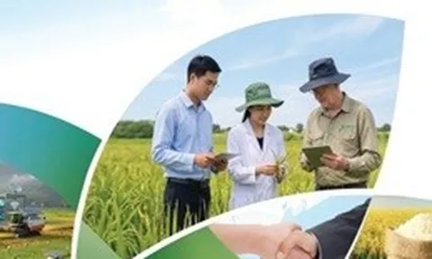 Bản tin Hợp tác nông nghiệp Việt Nam – Úc quý II/2026: Kết nối giá trị, phát triển bền vững
