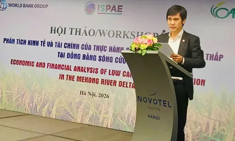 Phân tích kinh tế và tài chính của thực hành sản xuất lúa phát thải thấp tại đồng bằng sông Cửu Long