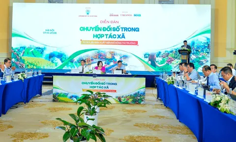 Thúc đẩy chuyển đổi số theo hướng phù hợp với điều kiện của khu vực kinh tế tập thể
