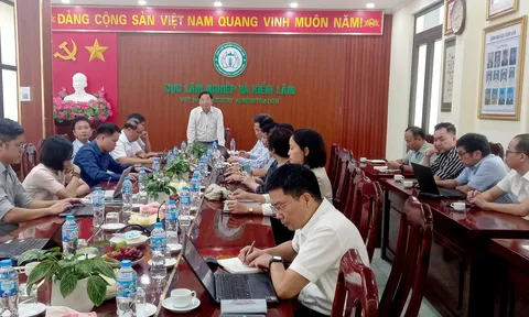 Công bố bản đồ ranh giới rừng năm 2020 phiên bản 1.0 phục vụ tuân thủ Quy định EUDR