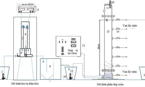 Nghiên cứu xử lý nước thải chế biến cà phê bằng hệ thống kết hợp keo tụ điện hóa và ozone hóa liên tục