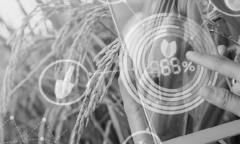 Góc nhìn chuyển đổi số trong phát triển nông thôn hiện đại