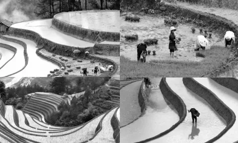 Từ cam kết khí hậu đến hành động trong lĩnh vực trồng trọt: Kế hoạch cho giai đoạn 2025 - 2035, tầm nhìn đến năm 2050