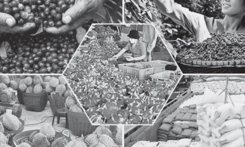 Nông nghiệp Việt Nam: Từ “trụ đỡ” an sinh đến “bệ phóng” phát triển của đất nước trong kỷ nguyên mới