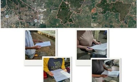 Toward plastic reduction in export logistics: Farmers’ and traders’ acceptance of banana-stem-based liner packaging