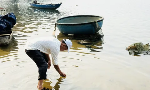 Thúc đẩy vai trò cộng đồng trong bảo vệ môi trường và quản lý tài nguyên nước tại Đà Nẵng
