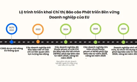 Kinh nghiệm của một số quốc gia về chính sách áp dụng kế toán xanh trong doanh nghiệp và một số đề xuất cho Việt Nam