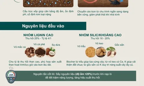 Áp dụng Kinh tế tuần hoàn trong chuỗi sản xuất than sinh học Biochar