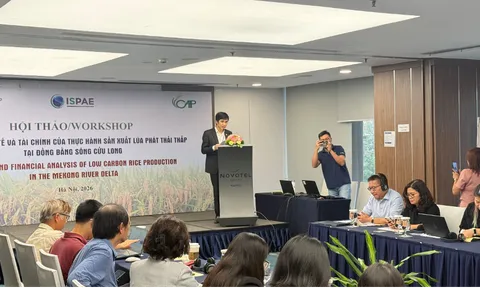 Economic and Financial Analysis of Low-Emission Rice Production Practices in the Mekong Delta