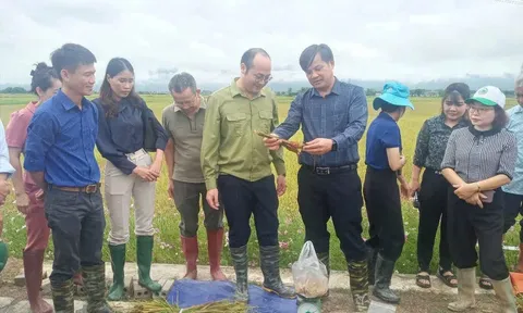 Điện Biên: Tổng kết 10 năm thực hiện Nghị quyết 24-NQ/TW về bảo vệ môi trường và ứng phó với biến đổi khí hậu